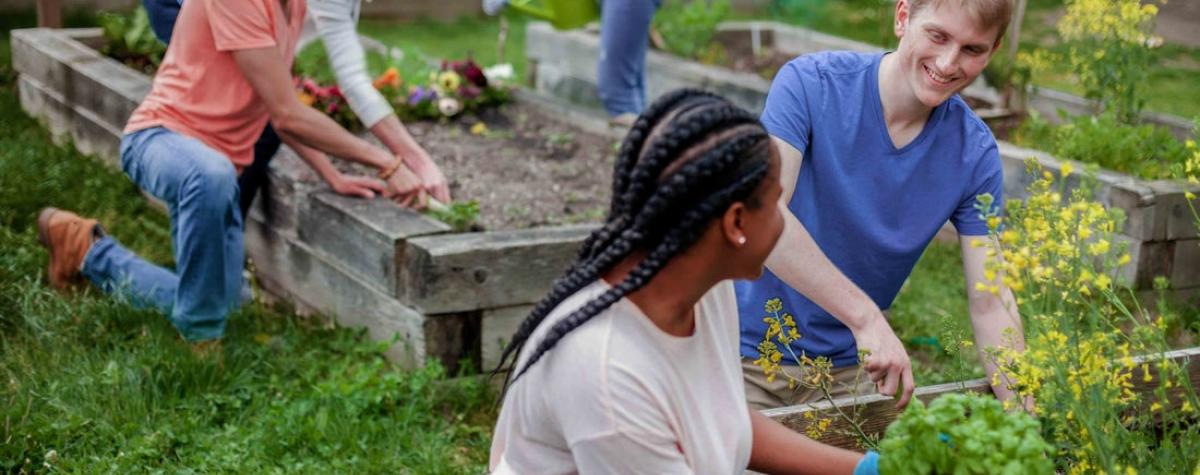 Man and woman gardening