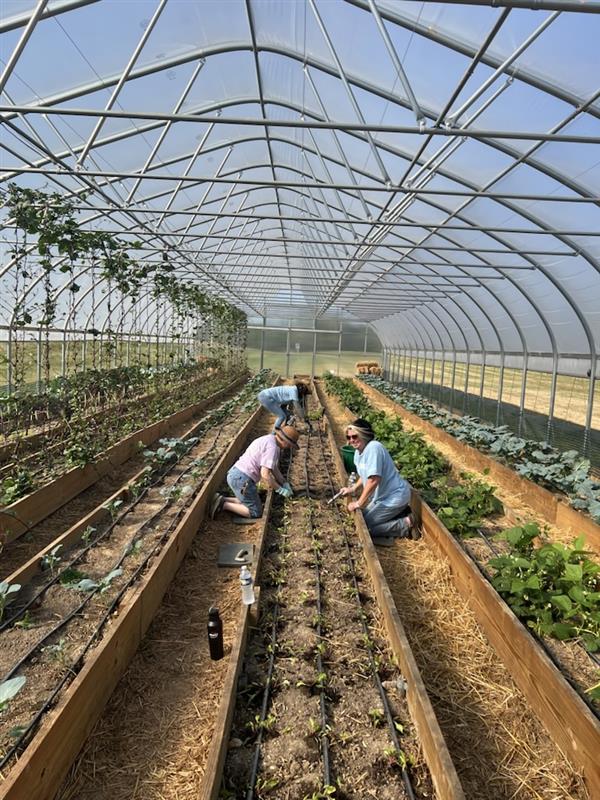 Women United Members volunteering.